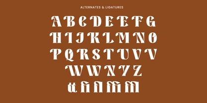 Aesth Font Poster 9