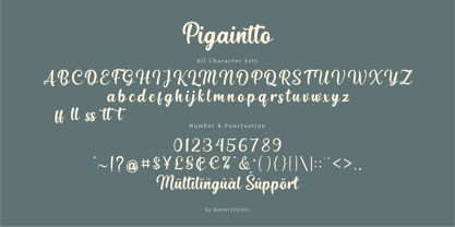 Pigaintto Font Poster 9