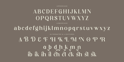 Dishta Bikailen Font Poster 7