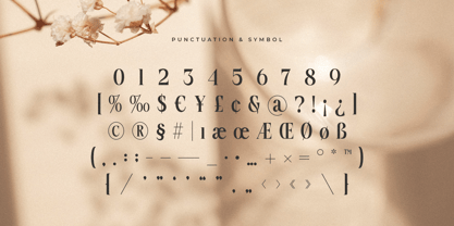 Quelira Font Poster 14