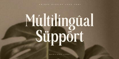 Quelira Font Poster 15