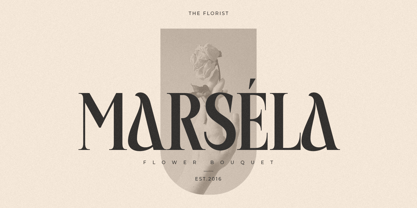 Quelira Font Poster 3