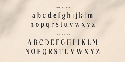 Quelira Font Poster 13