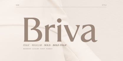 Briva Fuente Póster 1