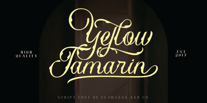 Yellow Tamarin Font Poster 1