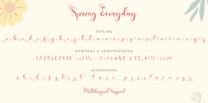 Spring Everyday Font Poster 6