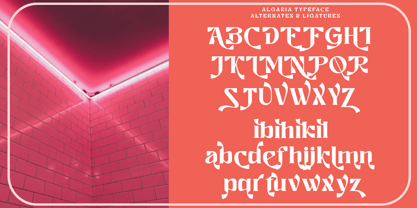 Algaria Font Poster 12