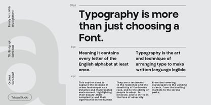 TBJ Endgraph 8 Sans Family Font Poster 9