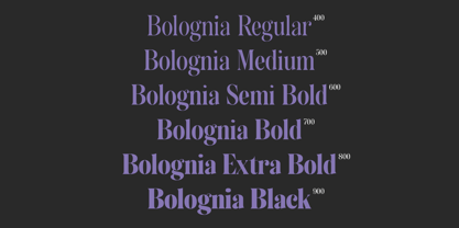 Bolognia Font Poster 5