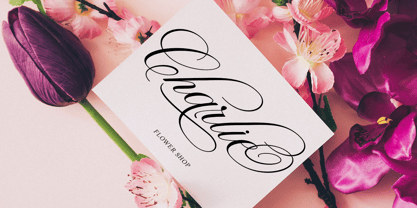 Wonderful Script Font Poster 7