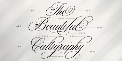 Wonderful Script Font Poster 3