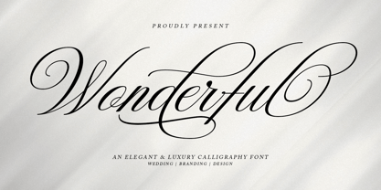 Wonderful Script Font Poster 1