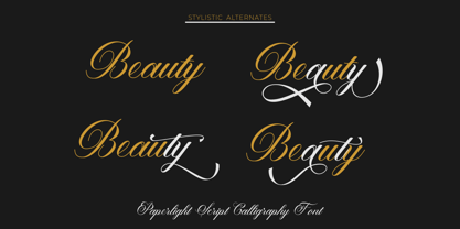 Paperlight Script Font Poster 2