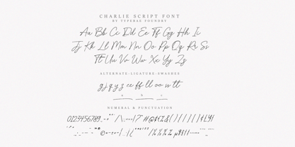 Charlie Script Font Poster 7