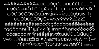 Horae Variable Font Poster 13