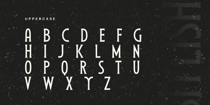 Stylish Serif Font Poster 9
