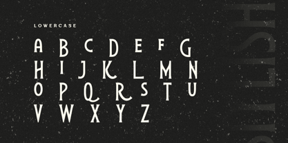 Stylish Serif Font Poster 8