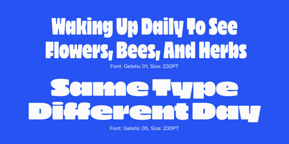 Gelatic Font Poster 5