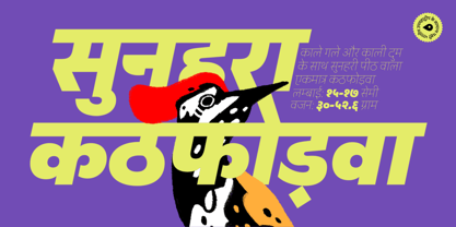 Peridot Devanagari Font Poster 6