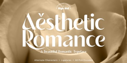 Aesthetic Romance Font Poster 1