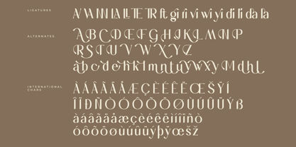 Hegimeda Font Poster 8