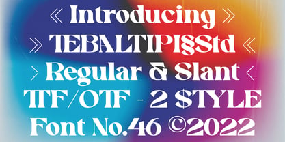 Swomun Serif Font Poster 3
