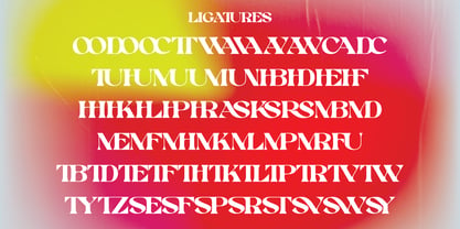 Swomun Serif Font Poster 12