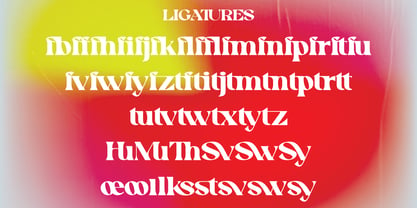 Swomun Serif Font Poster 13