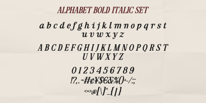 Maetinlla Font Poster 13