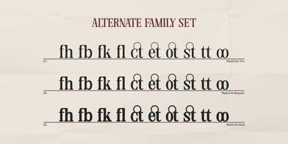 Maetinlla Font Poster 14