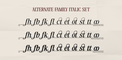 Maetinlla Font Poster 15