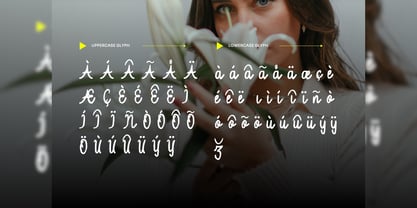 Oishu Taveny Font Poster 5