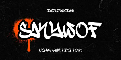 Skywof Font Poster 1