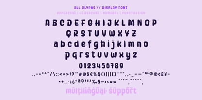 Shoeshine Font Poster 11