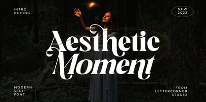Aesthetic Moment Font Poster 1