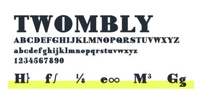 Twombly Font Poster 15