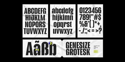 Genesize Grotesk Police Poster 3