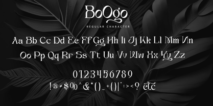 Boogo Font Poster 9