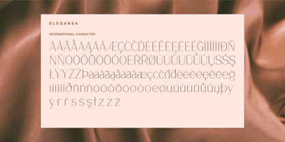 Elegansa Font Poster 4