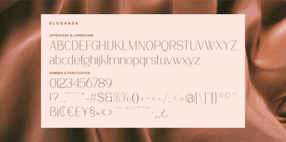 Elegansa Font Poster 3