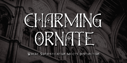 Charming Ornate Font Poster 1