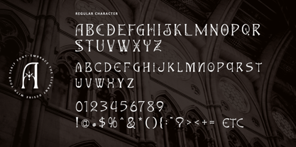 Charming Ornate Font Poster 11