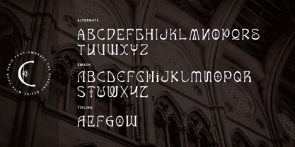 Charming Ornate Font Poster 13