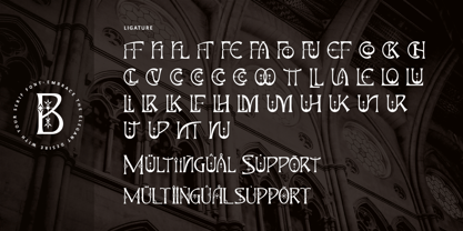 Charming Ornate Font Poster 12