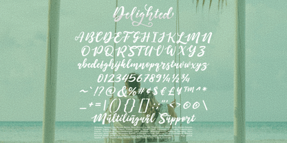 Delighted Atmosphere Font Poster 14