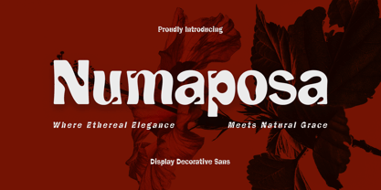 Numaposa Font Poster 1