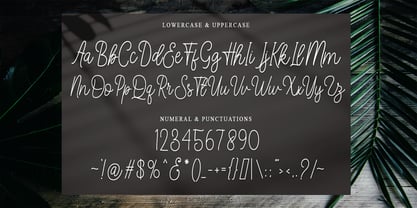 Yullia Signature Font Poster 7