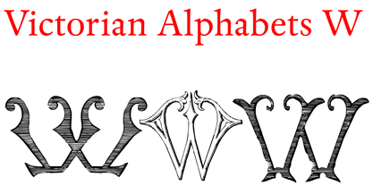 Victorian Alphabets W Font Poster 2