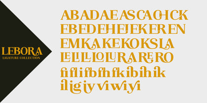 Lebora Font Poster 6