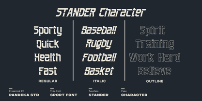 Stander Font Poster 2